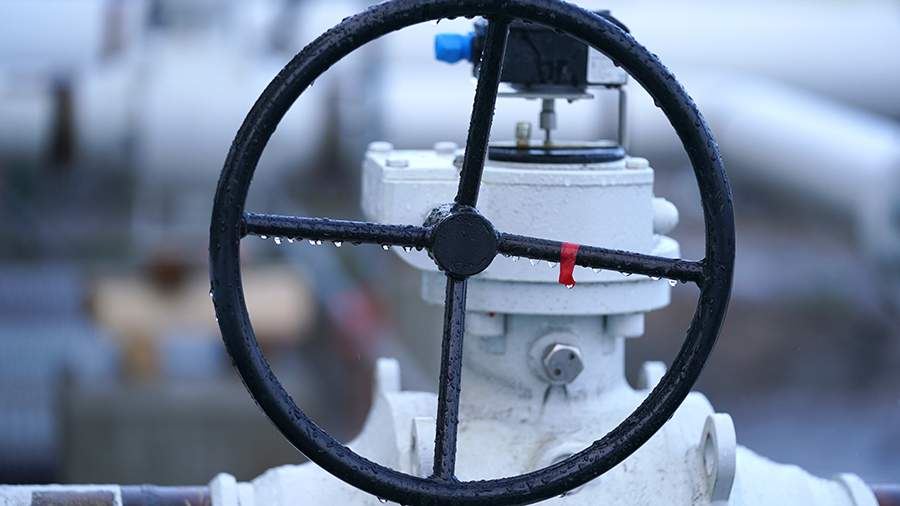 Байрактар опроверг отказ Турции от закупок российского газа