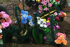 Смерть россиянки на могиле погибшего на СВО сына объяснили