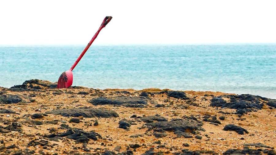 Запятнанная часть: новое ПО поможет найти остатки мазута в Черном море